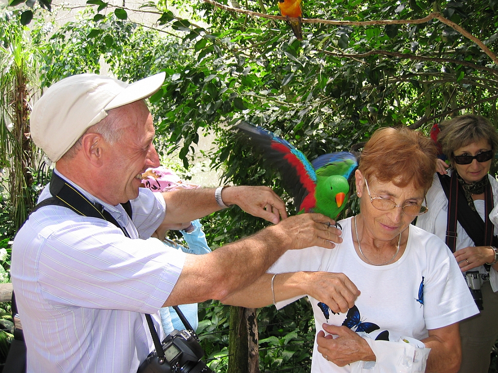 029 Birdworld Kuranda.jpg